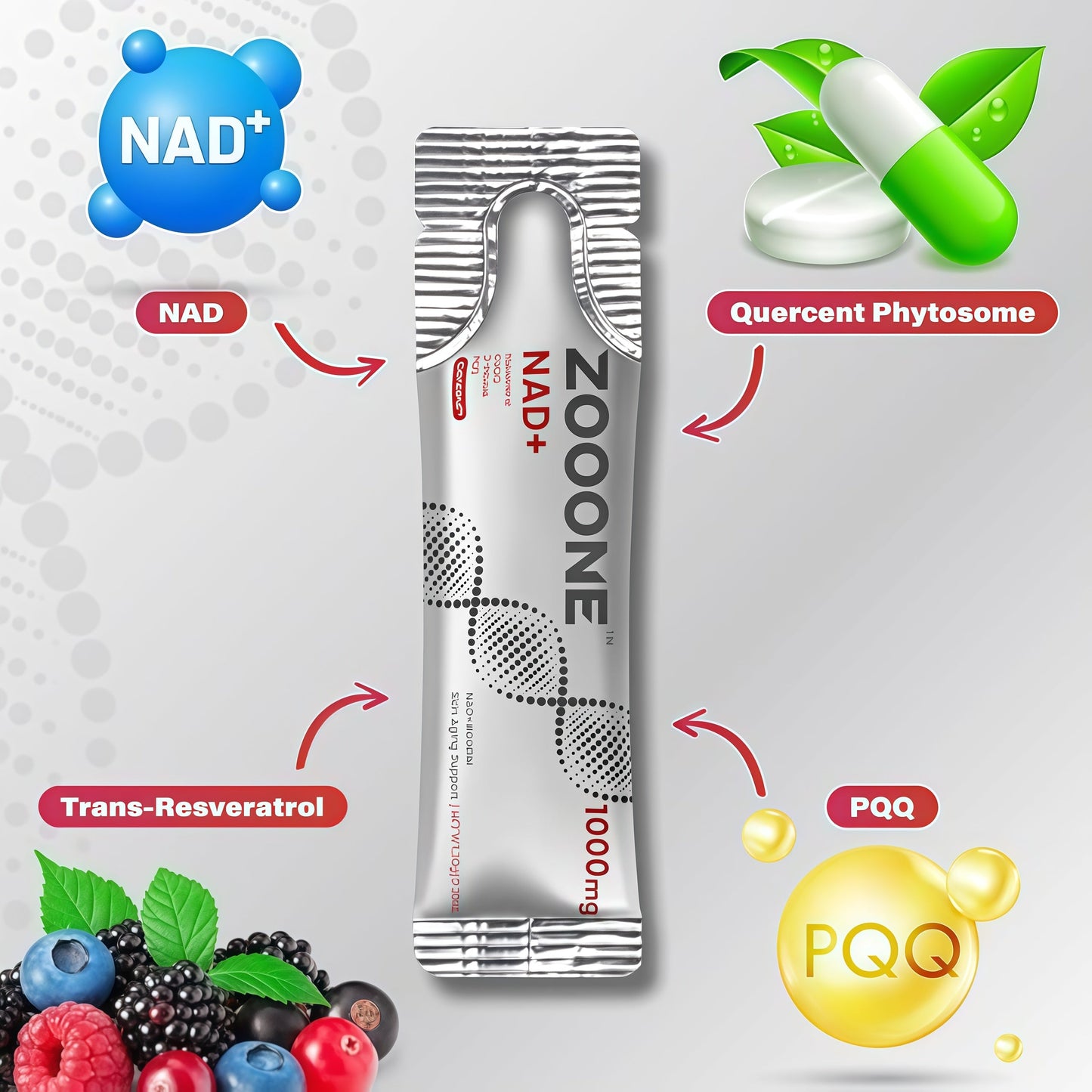 Zooone NR1000-NAD+ | Berry Flavor Drink Mix | Skin Aging Support | Energy & Focus | 30 Pack